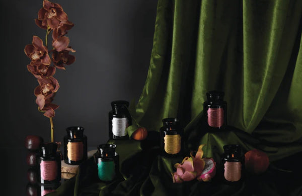 Paddywax Apothecary Noir Collection