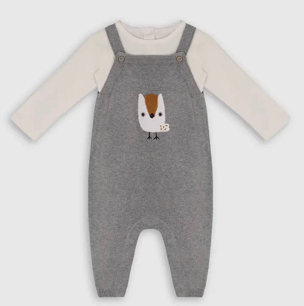 Owl Knit Baby Overall and Onesie Set