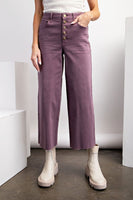 Button Front Twill Pants