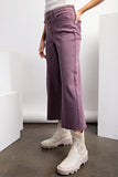 Button Front Twill Pants