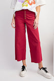 Button Front Twill Pants